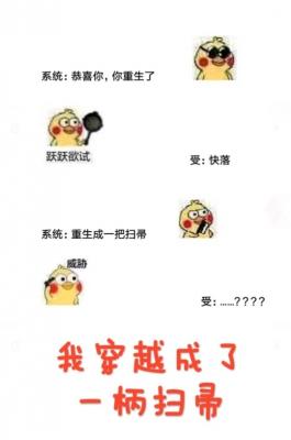 我穿越成了一柄扫帚